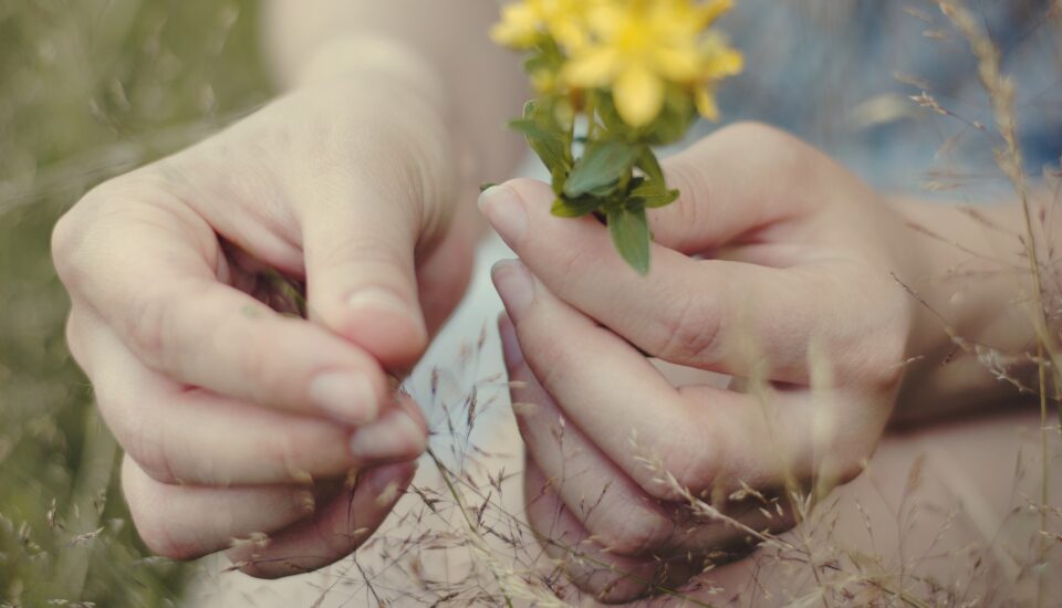 Jak odnaleźć harmonię w życiu