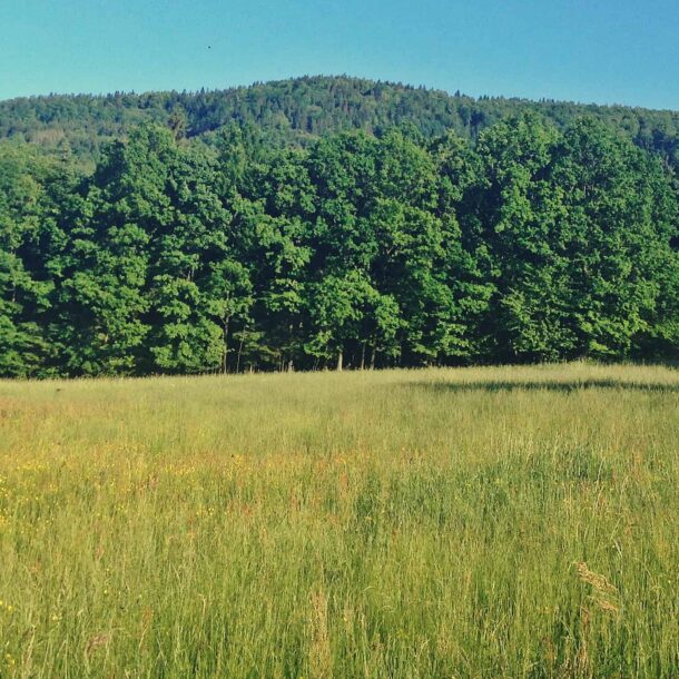 Jak dobrze spędzić niedzielę