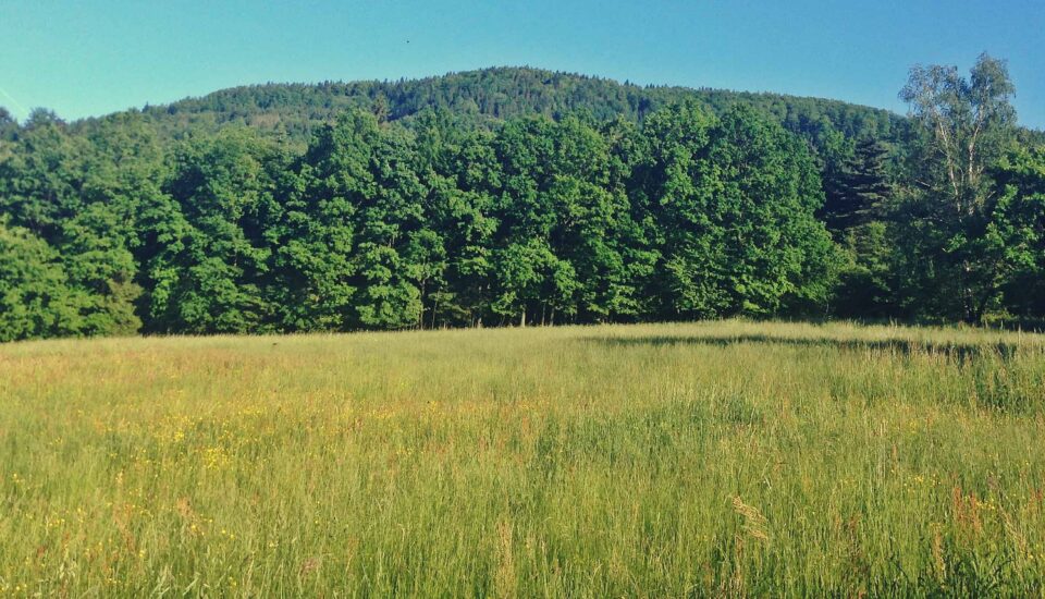 Jak dobrze spędzić niedzielę