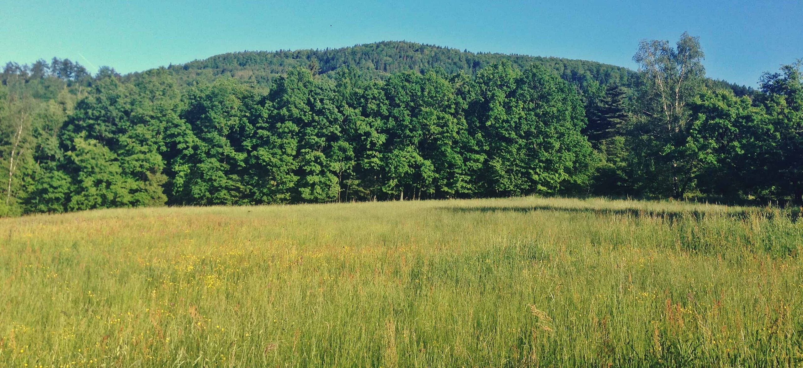 Jak dobrze spędzić niedzielę