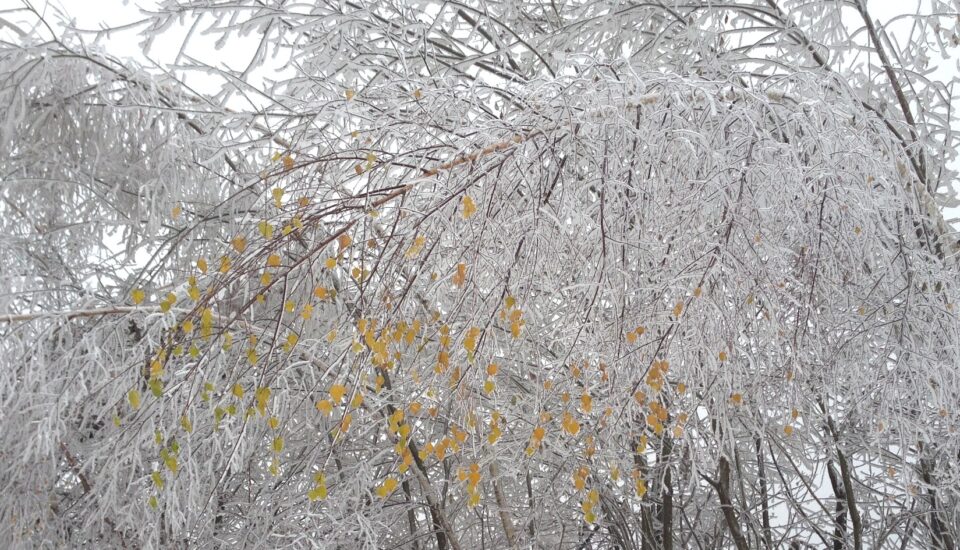 Życie w zgodzie z porami roku