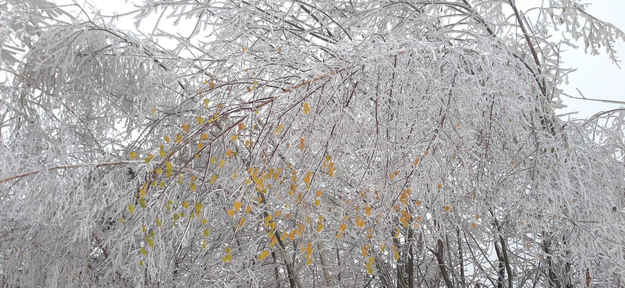 Życie w zgodzie z porami roku