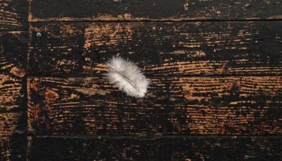 Świadomość siebie