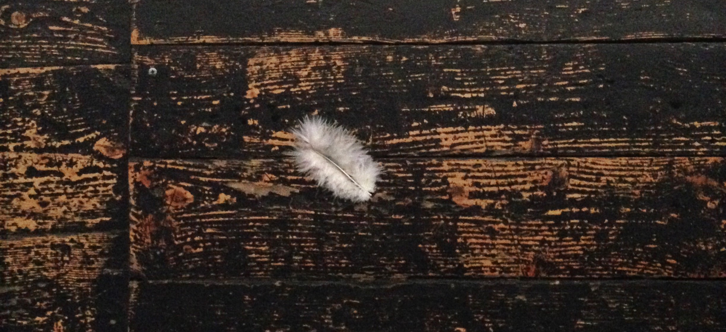 Świadomość siebie