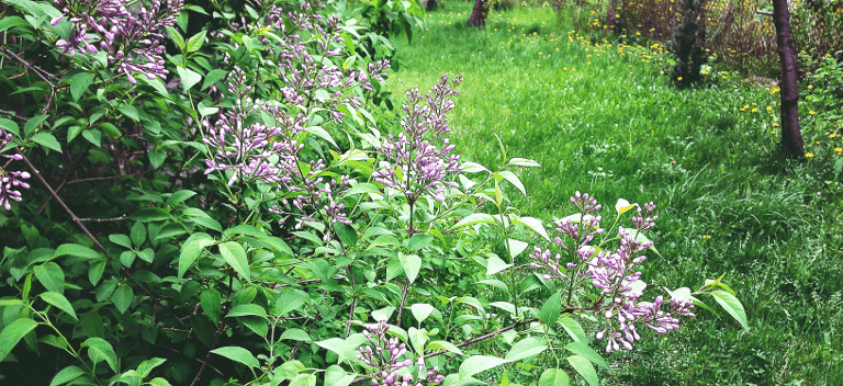 jak dobrze spędzić majówkę