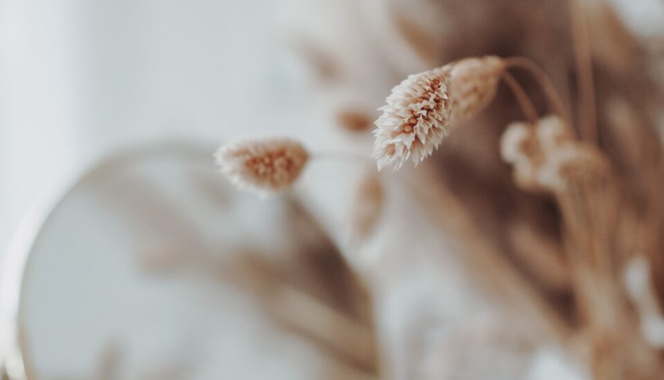 lusterko-i-zasuszone-kwiaty