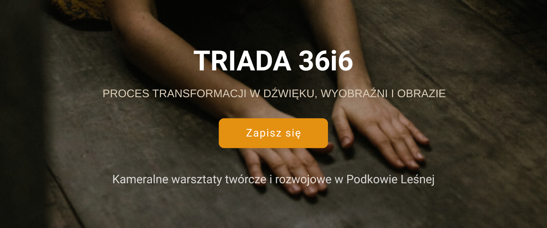 TRIADA 36i6